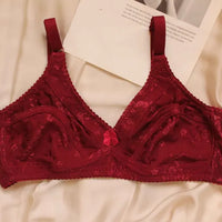 Self Net 3-Hook Bra for Women