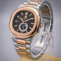 Patik Philipe Executive Series | Silver Arctic Moonphase Edition