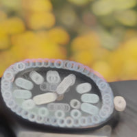 Patik Philip Stone Embossed Stainless Steel